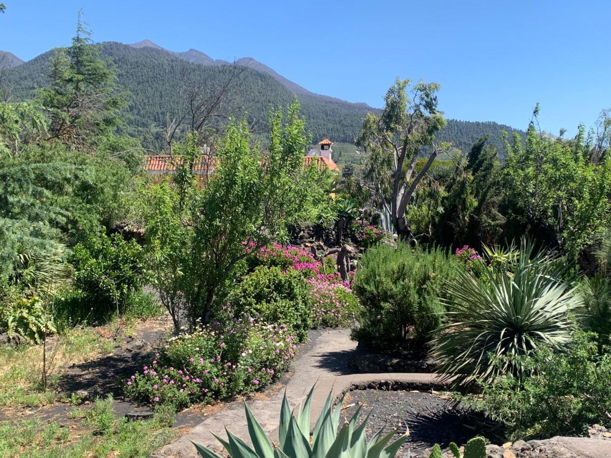 Casa Piedras Blancas With Private Garden Villa El Paso Kültér fotó